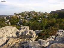 Pour des promenades inoubliables