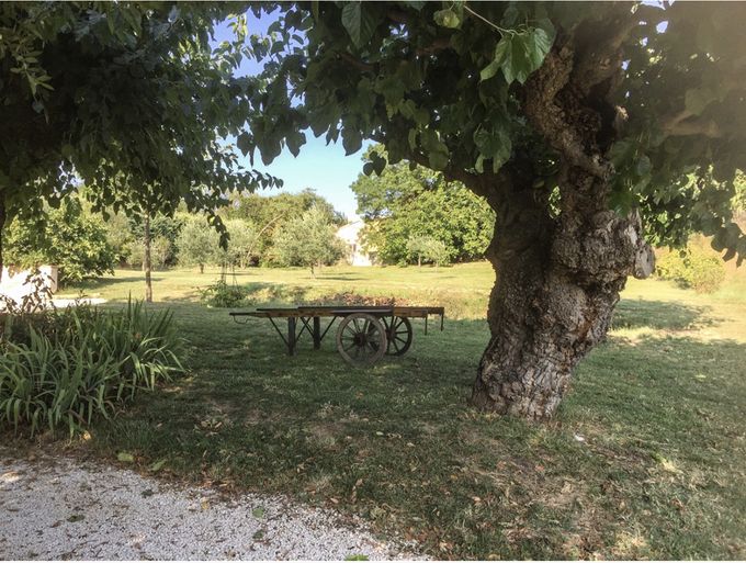 La charrette à l'ombre des muriers---The barrow under the Mulberry tree---Der Karren im Schatten der Maulbeerbaum